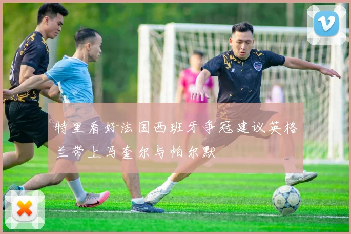 特里看好法国西班牙争冠建议英格兰带上马奎尔与帕尔默