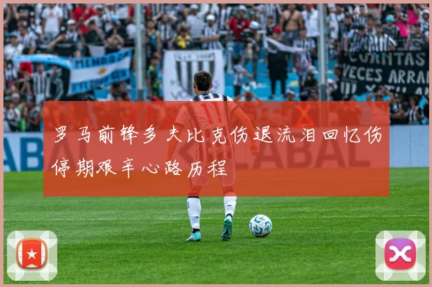 罗马前锋多夫比克伤退流泪回忆伤停期艰辛心路历程
